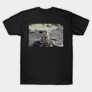 Prairie Dog Sitting T-Shirt